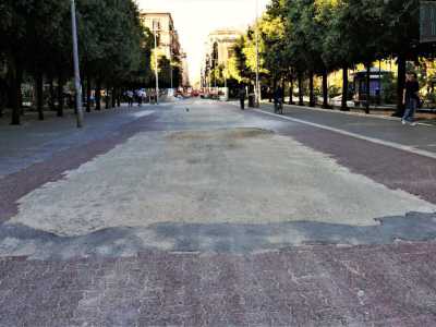 Eliminate le palme che caratterizzavano via Sparano per tutto il suo percorso...